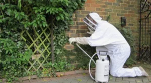 شركة مكافحة الحشرات والقوارض